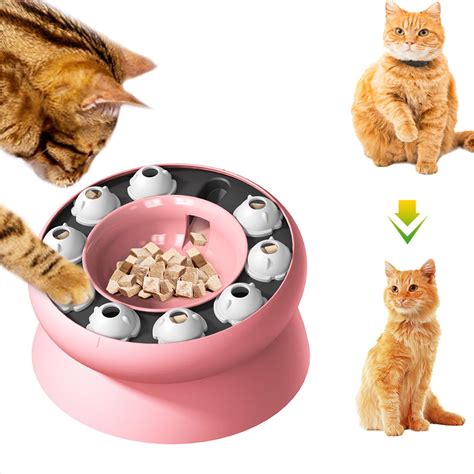 Amazon.com: Cat Slow Feeder, Interactive Slow Feeder Cat Bowl Raised ...