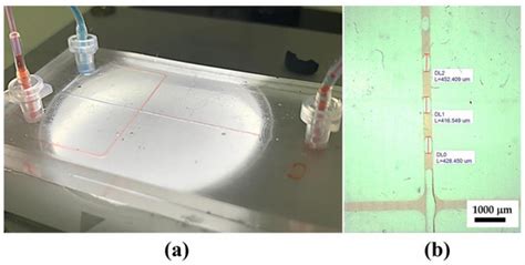 Effect of Flow Rate Modulation on Alginate Emulsification in Multistage ...