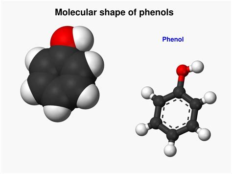 Image result for Shell Structure Examples