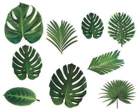 Jungle Leaf Cut Outs