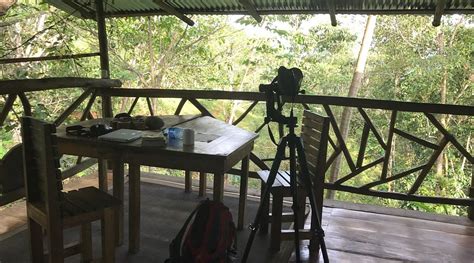 FINCA SIEMPRE VERDE (San Jose) - Hostel Reviews & Photos - Tripadvisor