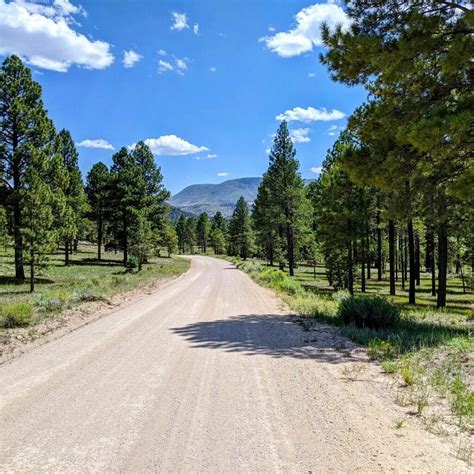 Explore the White Mountains of Arizona: My Guidebook with Map ...