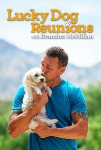 Lucky Dog: Reunions: Season 2 | Rotten Tomatoes