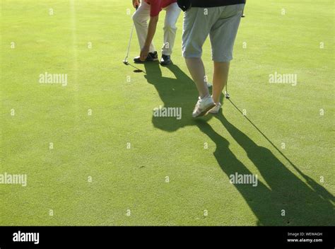 Playing Golf 的图像结果