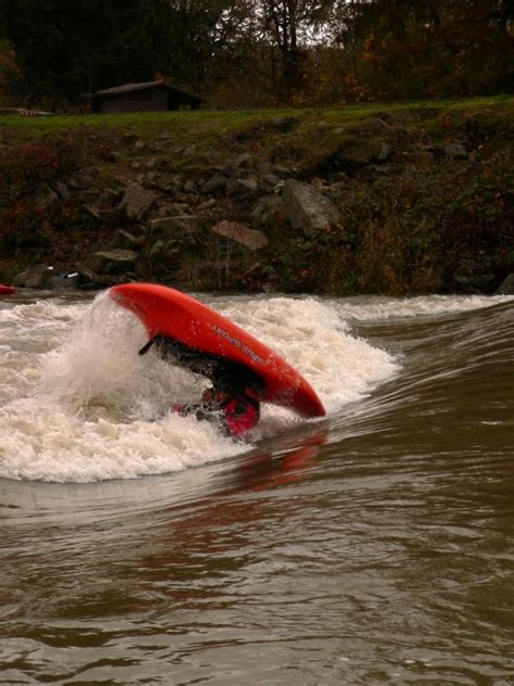 Image result for Wellerman Loop