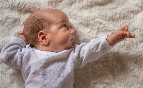 Atnr Integration 的图像结果