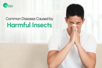 9 Common Diseases Caused by Harmful Insects | HiCare – HiCare (A ...