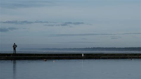 EVERGREENING THE CUT - Bulegoa