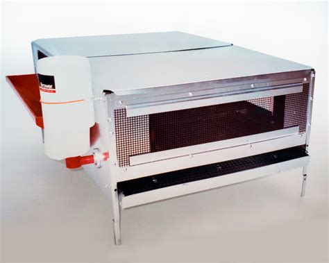 Image result for How to Brooder Quail Chicks