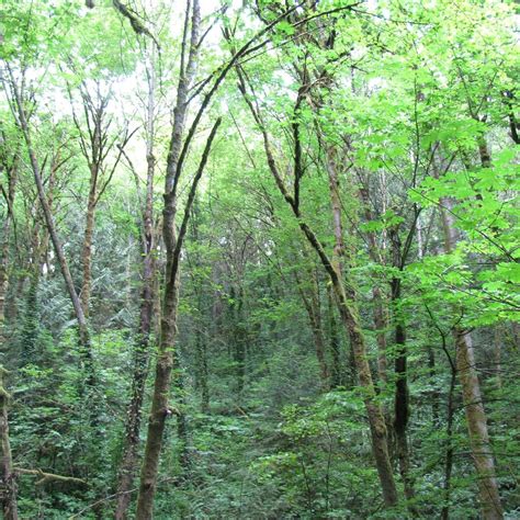 Marquam Nature Park (Portland) - 2022 Lohnt es sich? (Mit fotos)