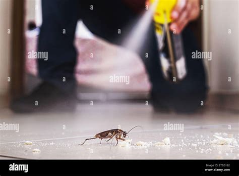 Image result for Cockroach Poison