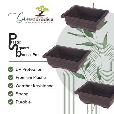 Bonsai Special Pots – GreenParadiseLive