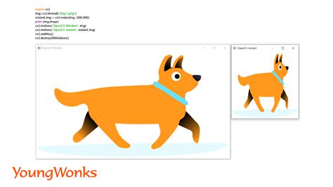 Image result for OpenCV Python Image Processing Examples