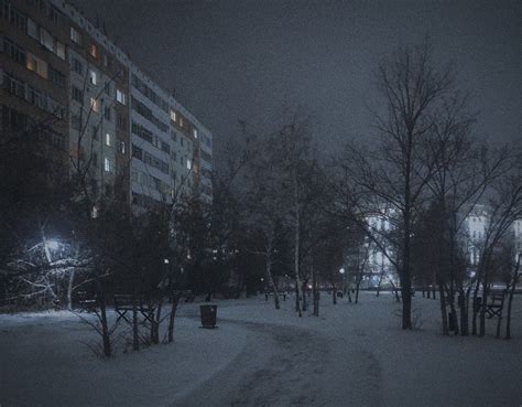A snowy park at night