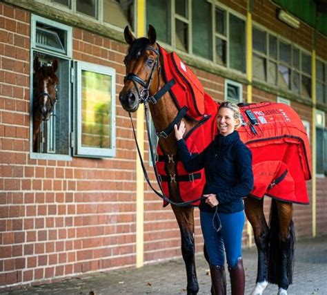 Horse Therapy Guide