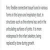 What is a axon What is cartilage What is your name - Brainly.in