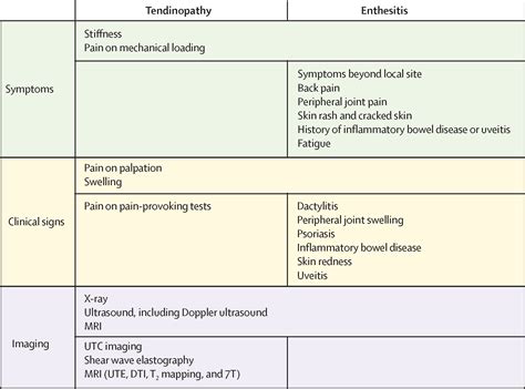 Pathways driving tendinopathy and enthesitis: siblings or distant ...