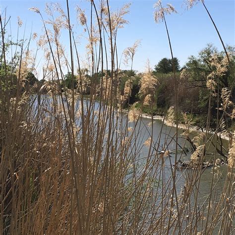 SOETDORING NATURE RESERVE (2026) All You Need to Know BEFORE You Go ...