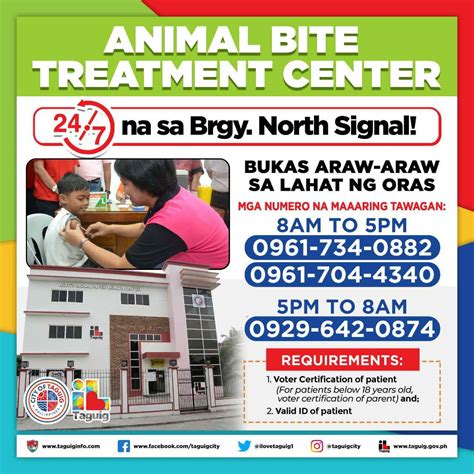 Guide to Animal Bite Treatment Centers in Taguig City