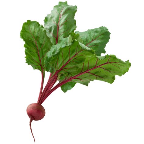 How to Select and How to Store Beets - The Produce Moms