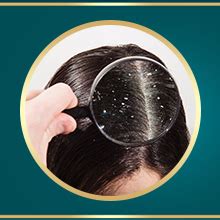 Buy Life & Pursuits Amla Brahmi Hair Oil for Hair & Scalp Health - 100 ...