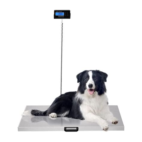Chynalys Heavy Duty 440lbs Electronic Pet Scale with LCD India | Ubuy