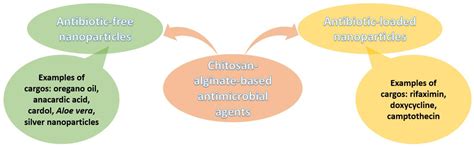 Applications of Chitosan-Alginate-Based Nanoparticles—An Up-to-Date Review