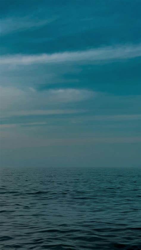 Brother+Sister+Xxxxx+Videos+Hindi Videos, Download The BEST Free 4k Stock Video Footage ...