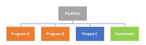 Image result for Project vs Program Differences