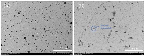Enhanced Stability and Oral Bioavailability of Cannabidiol in Zein and ...