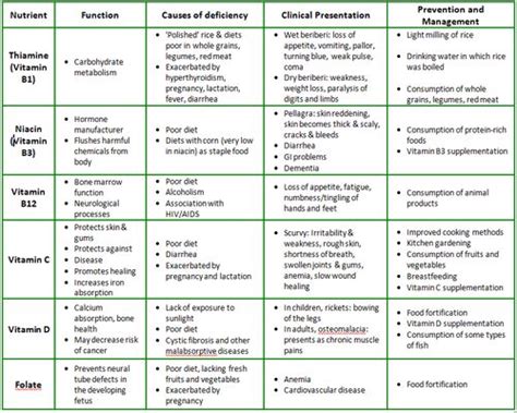 Nutrition 的图像结果
