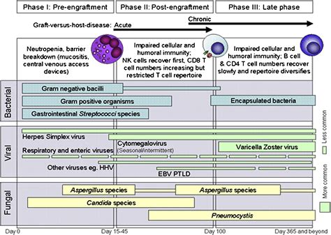 Guidelines for Preventing Infectious Complications among Hematopoietic Cell Transplantation ...