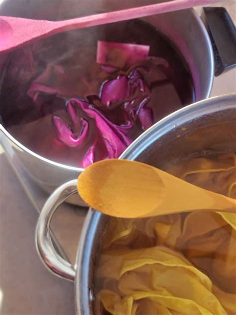 Intro to Natural Dye & Shibori Workshop, 2590 Truxtun Rd., Ste 106, San ...