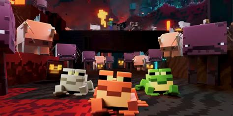 Image result for Minecraft Live Frog