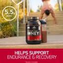 Optimum Nutrition (ON) Gold Standard 100% Protein Powder - Primary ...