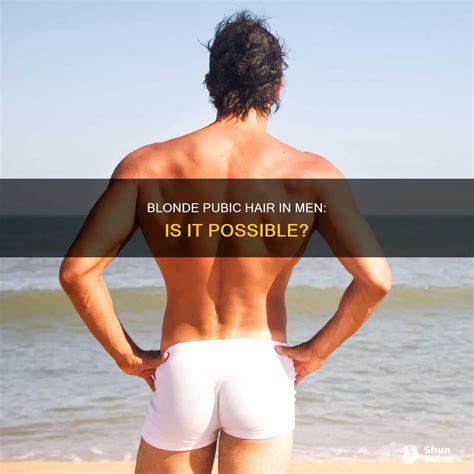 Blonde Pubic Hair In Men: Is It Possible? | ShunSalon