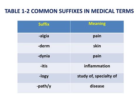 PPT - Analyzing Medical Terminology: Roots, Prefixes, and Suffixes ...