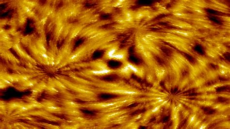 Project M Visualizer Demo 的图像结果