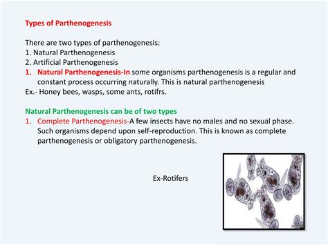 Image result for Parthenogenesis Examples