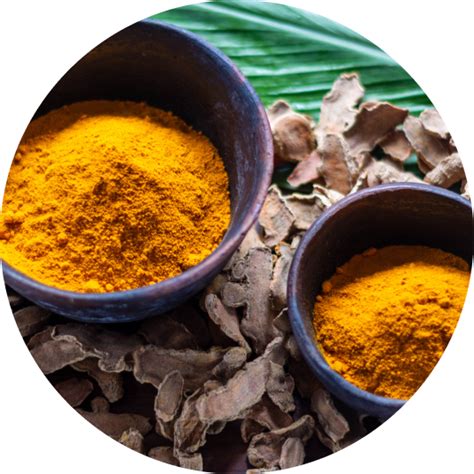 Food | Meghalaya's Authentic Crafts & Products | Meghalayan Age - The Store