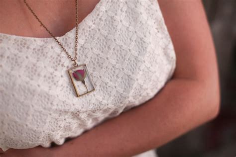 Amber Module Review 的图像结果