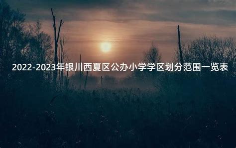 2022-2023年银川灵武市公办小学学区划分范围_小升初网