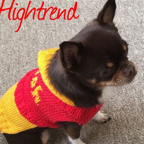 Image result for Alien Dog Costume