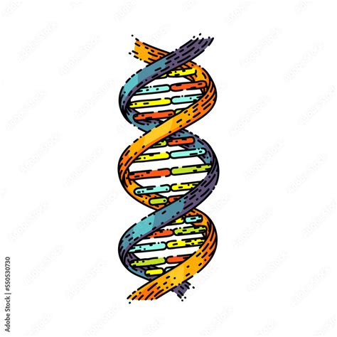 DNA Vector 的图像结果