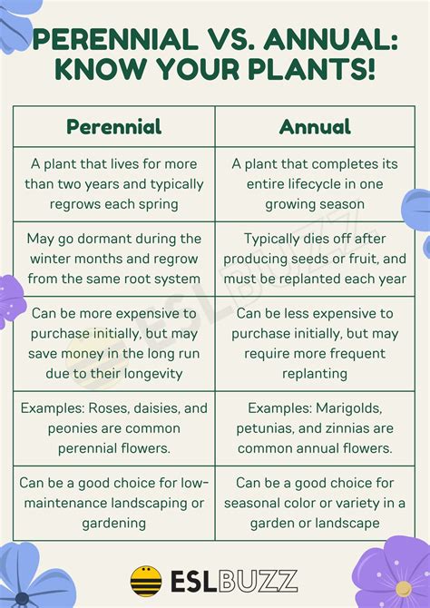 What Is Annual And Perennial Mean at Samantha Zoe blog