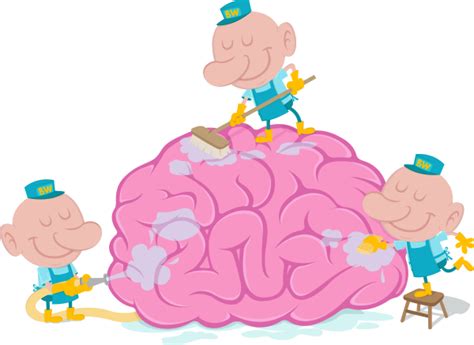 Kuvatulokset haulle brain cleanse