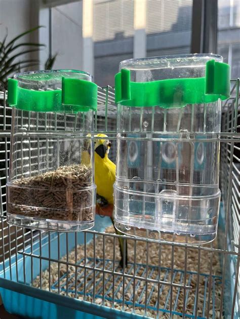 1/2 Piezas Alimentadores De Aves, Comedero Y Bebedero Automático Para ...