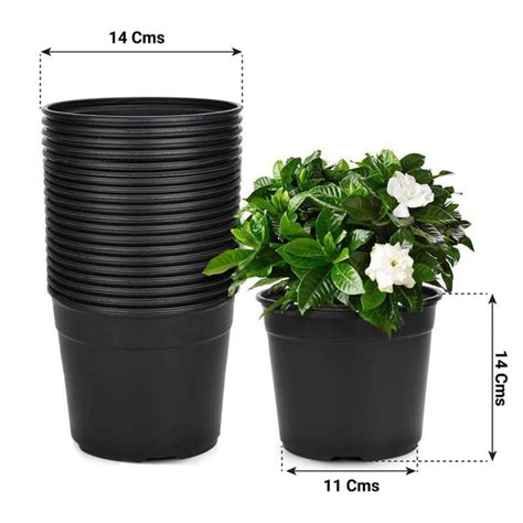 Bhuvi Nursery Pots (Set of 10) – TrustBasket
