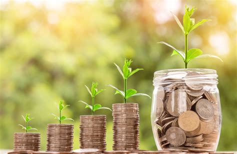 Local Offer Leaflet 的图像结果