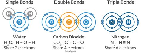 Image result for Covalent Bond Types
